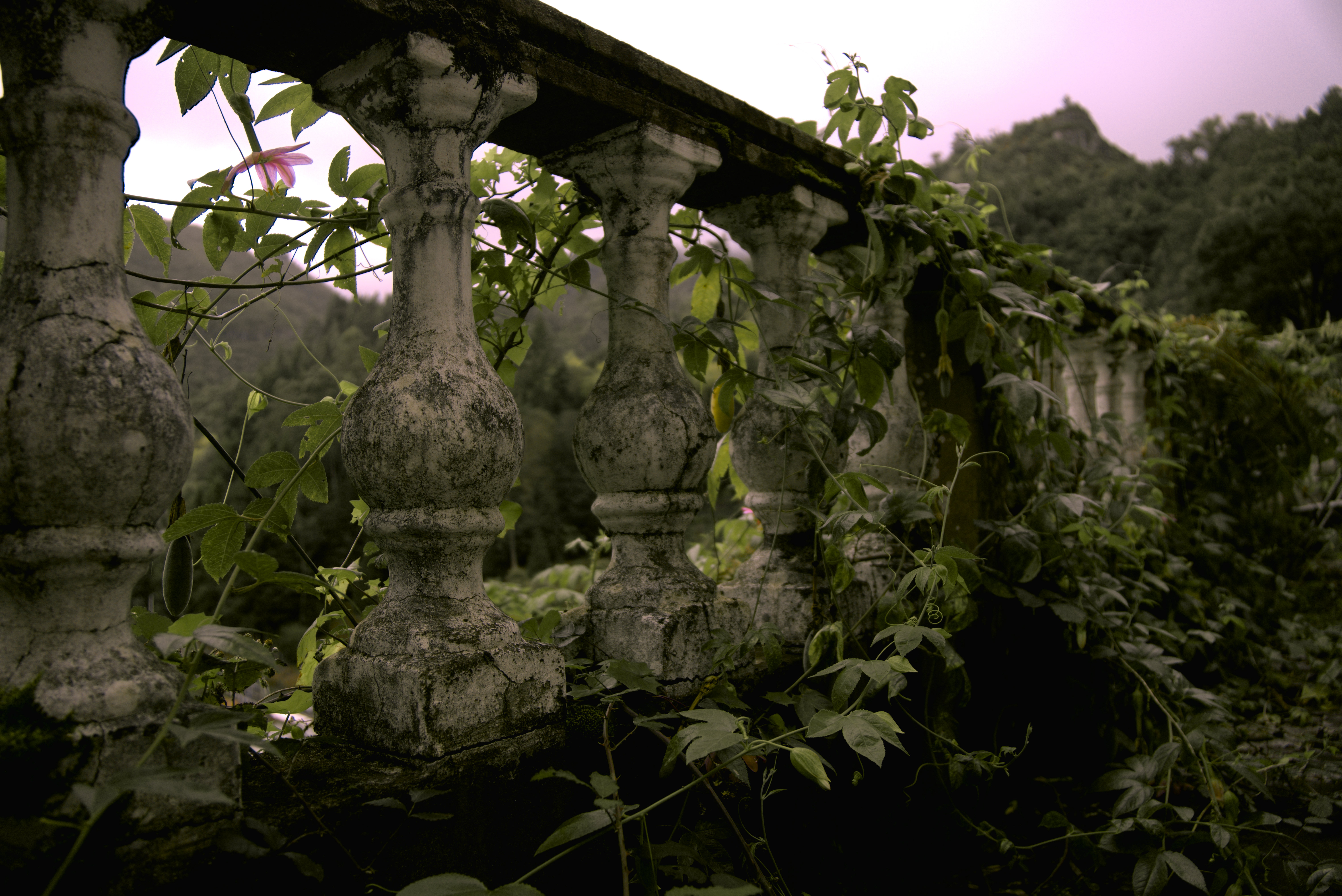 Zen Garden