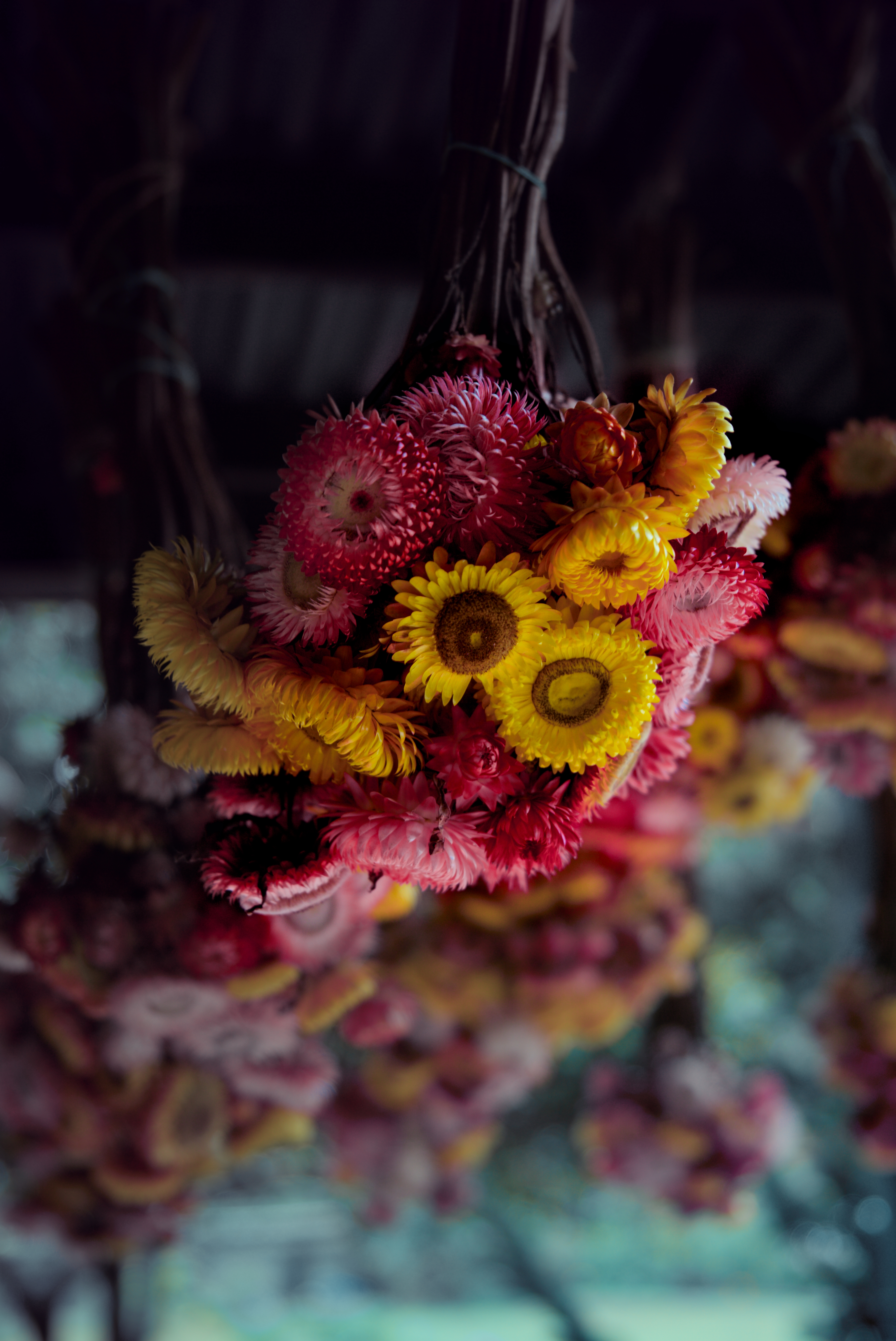 Flower 8